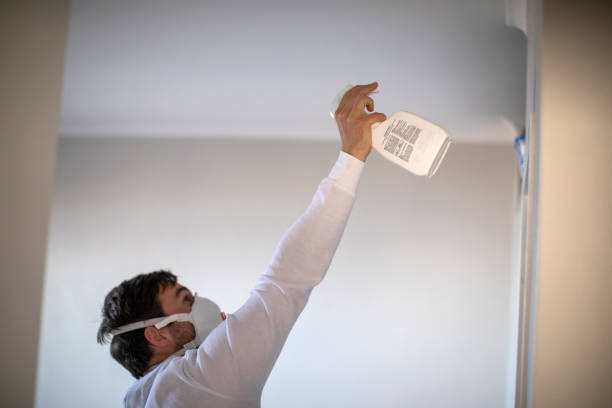 Best Commercial Mold Remediation in Hemlock, MI