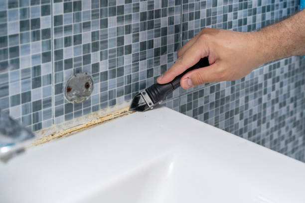 Best DIY Mold Remediation Support Services in Hemlock, MI